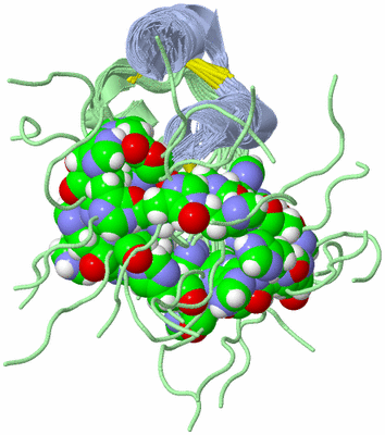 Image NMR Structure - all models