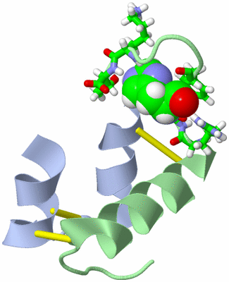 Image NMR Structure - model 1, sites