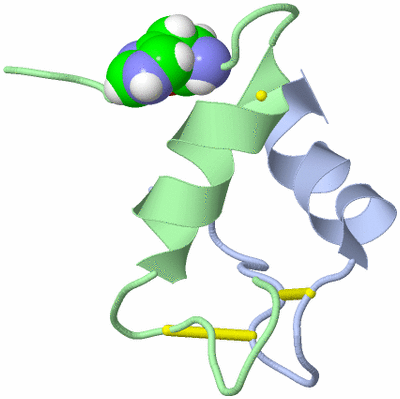 Image NMR Structure - model 1