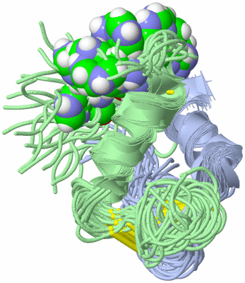 Image NMR Structure - all models