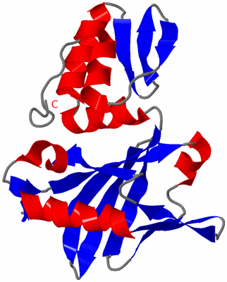 Image NMR Structure - model 1