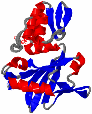 Image NMR Structure - all models