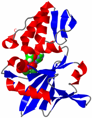 Image NMR Structure - model 1