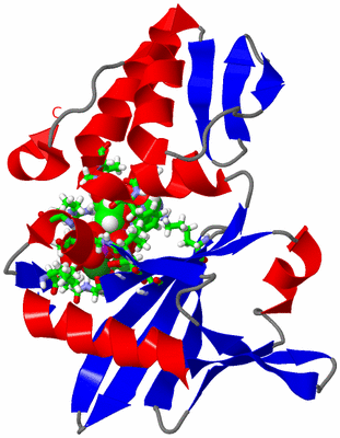 Image NMR Structure - model 1, sites