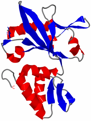 Image NMR Structure - model 1