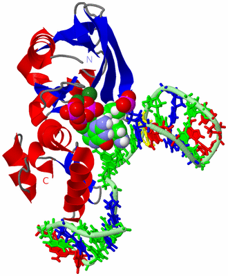 Image NMR Structure - model 1