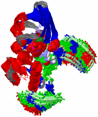 Image NMR Structure - all models