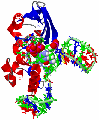 Image NMR Structure - model 1, sites