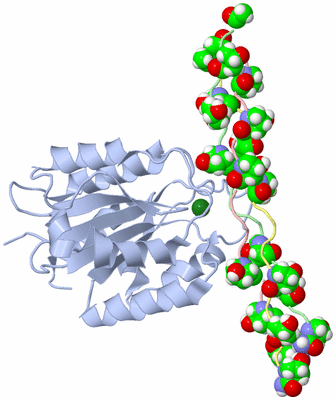 Image NMR Structure - model 1