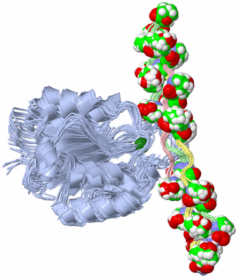 Image NMR Structure - all models