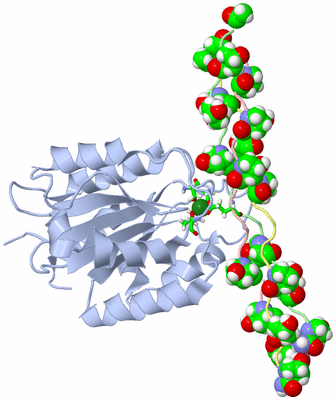 Image NMR Structure - model 1, sites