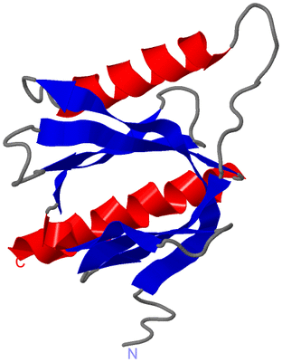 Image NMR Structure - model 1