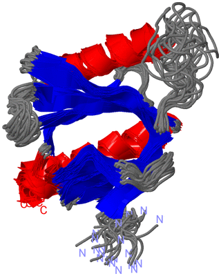 Image NMR Structure - all models