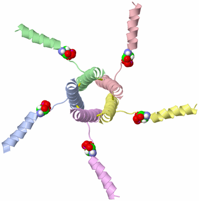 Image NMR Structure - model 1