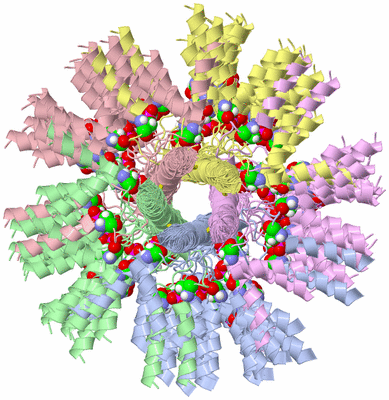 Image NMR Structure - all models