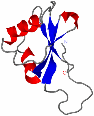 Image NMR Structure - model 1