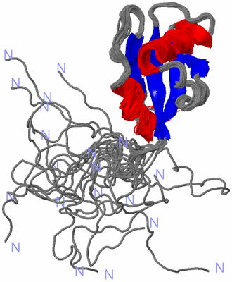 Image NMR Structure - all models