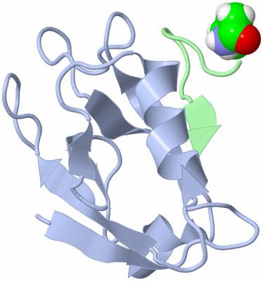 Image NMR Structure - model 1