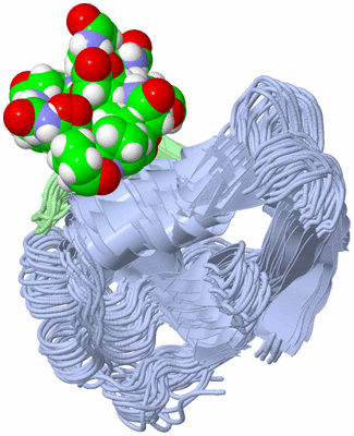 Image NMR Structure - all models