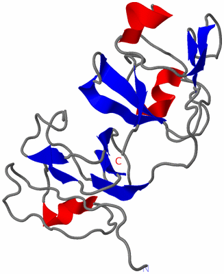 Image NMR Structure - model 1