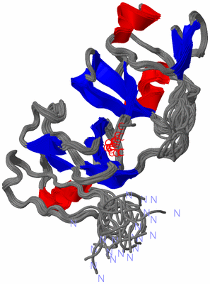 Image NMR Structure - all models