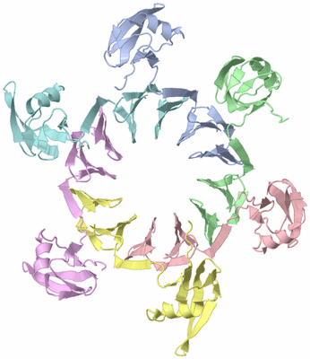 Image NMR Structure - model 1