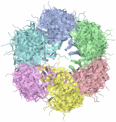 Image NMR Structure - all models