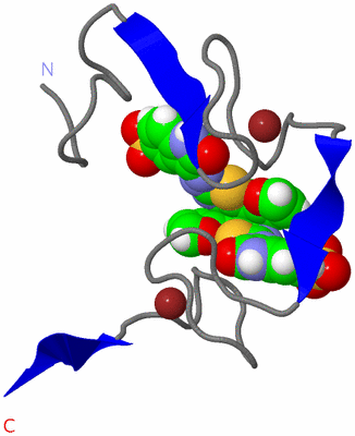 Image NMR Structure - model 1