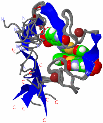 Image NMR Structure - all models