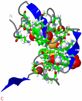 Image NMR Structure - model 1, sites