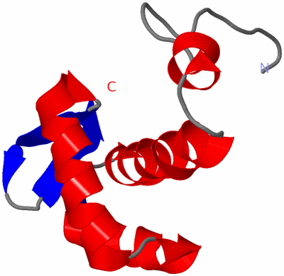 Image NMR Structure - model 1