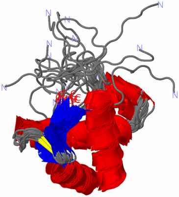 Image NMR Structure - all models