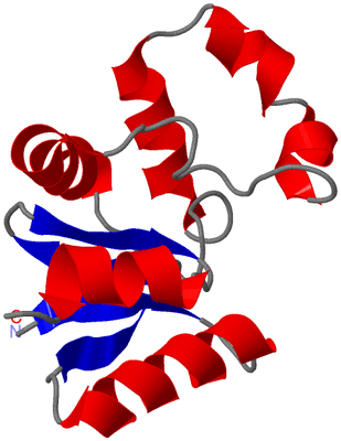 Image NMR Structure - model 1