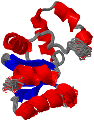 Image NMR Structure - all models