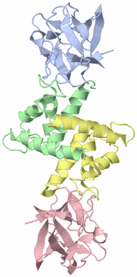 Image NMR Structure - model 1