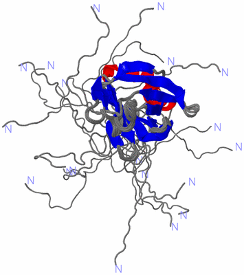 Image NMR Structure - all models