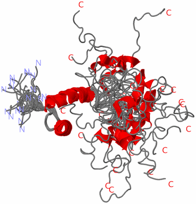 Image NMR Structure - all models