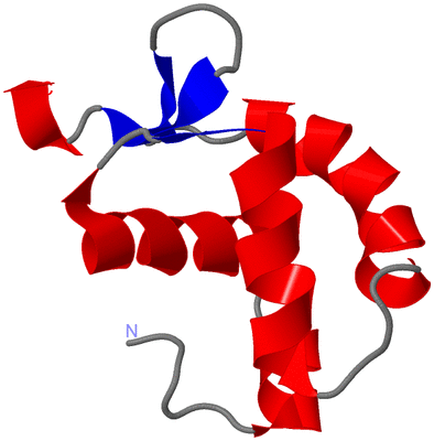 Image NMR Structure - model 1