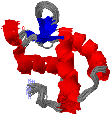 Image NMR Structure - all models
