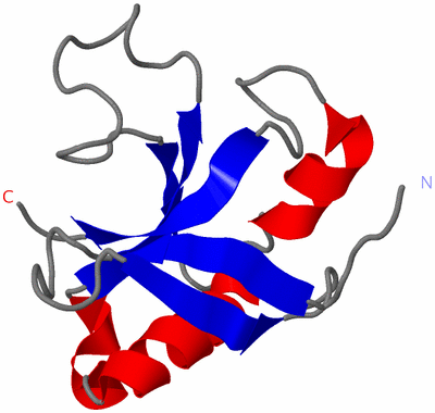 Image NMR Structure - model 1