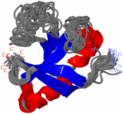 Image NMR Structure - all models