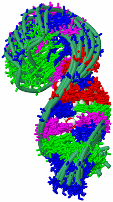 Image NMR Structure - all models