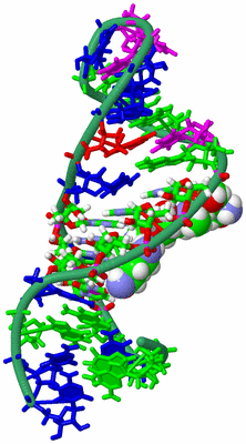 Image NMR Structure - model 1, sites