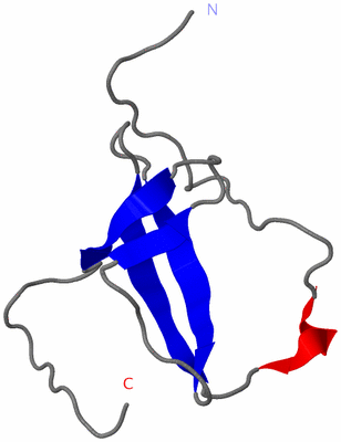 Image NMR Structure - model 1