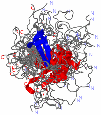 Image NMR Structure - all models