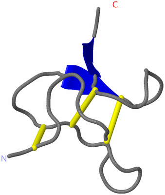 Image NMR Structure - model 1