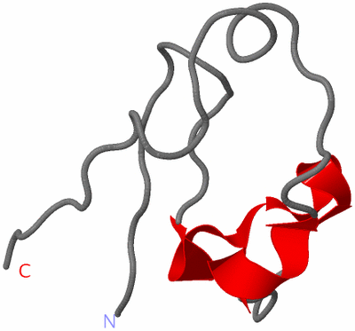 Image NMR Structure - model 1