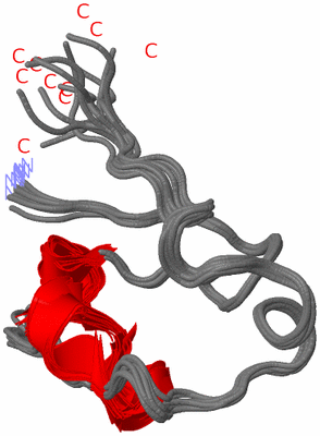Image NMR Structure - all models
