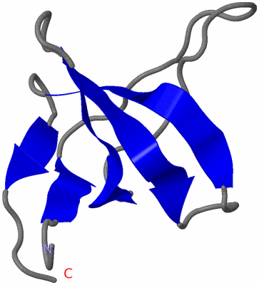 Image NMR Structure - model 1