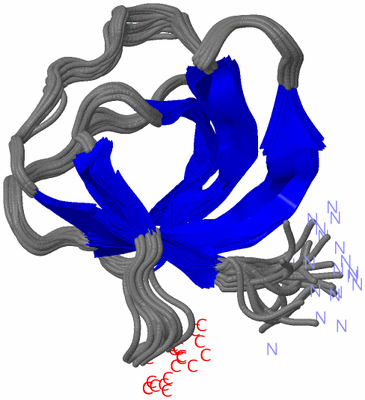 Image NMR Structure - all models